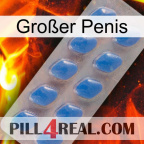 Großer Penis 22